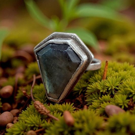 Silver ring with a dark stone on a bed of green moss