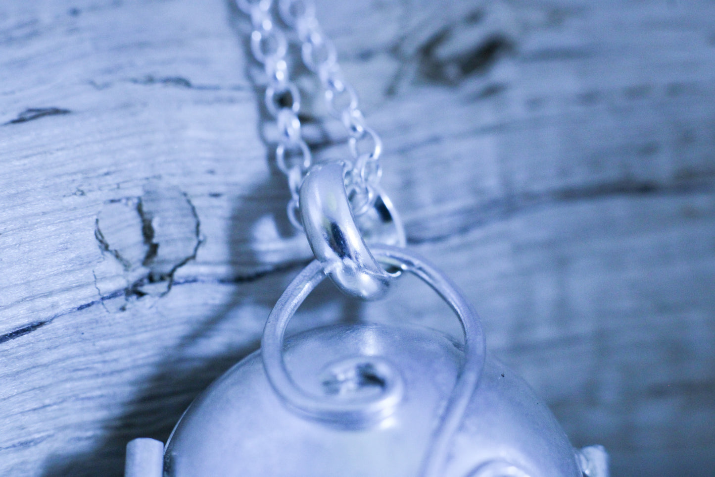 Moongazing Hare Locket, Necklace, Small Dog Silver