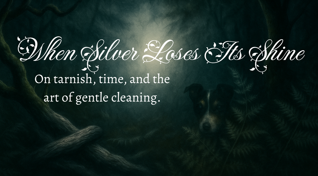 Dark green woodland background with the words 'When Silver Loses It's Shine - On tarnish, time and the art of gentle cleaning' in silver text.