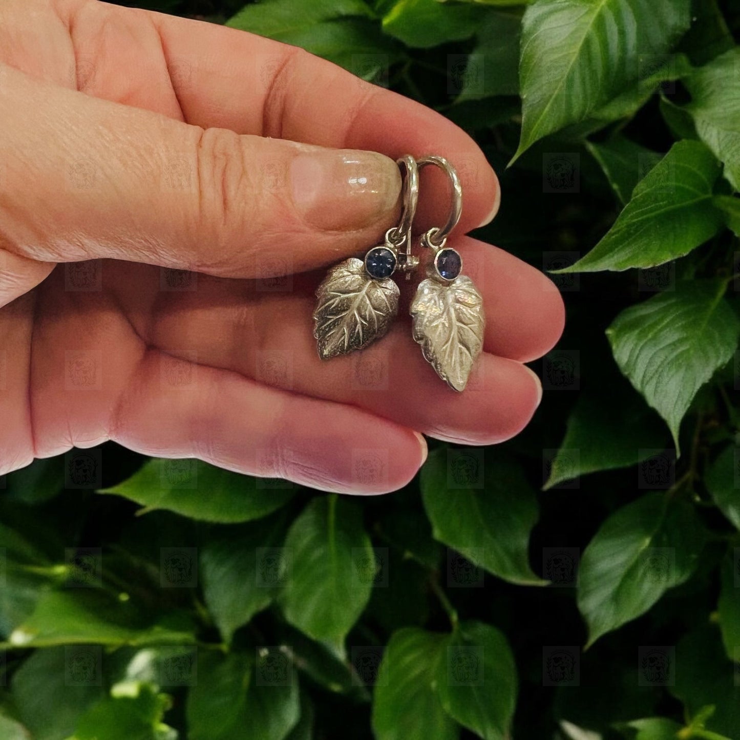Wish tree Drops