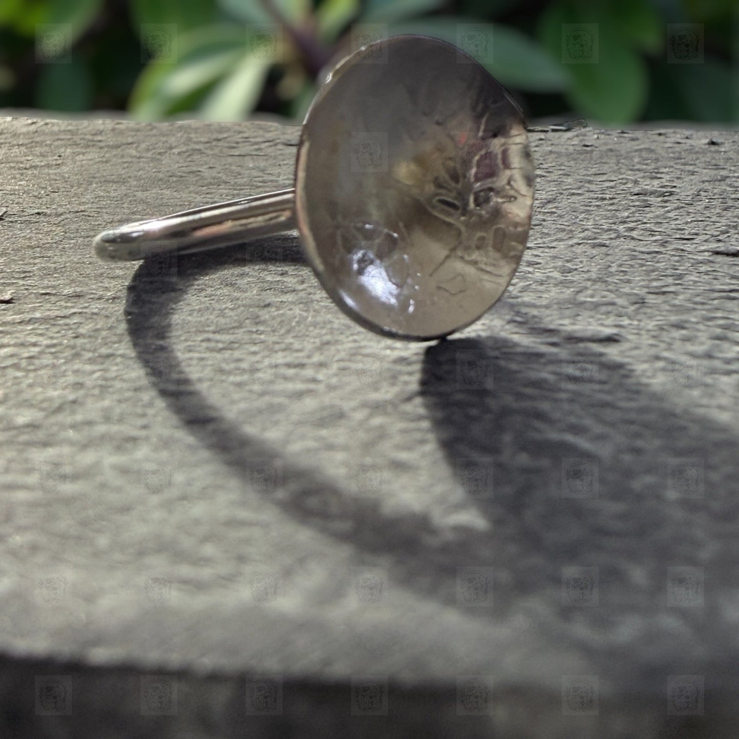 Gazing Pool