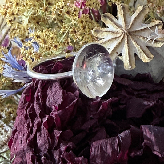 Sterling silver dished ring on dried flowers