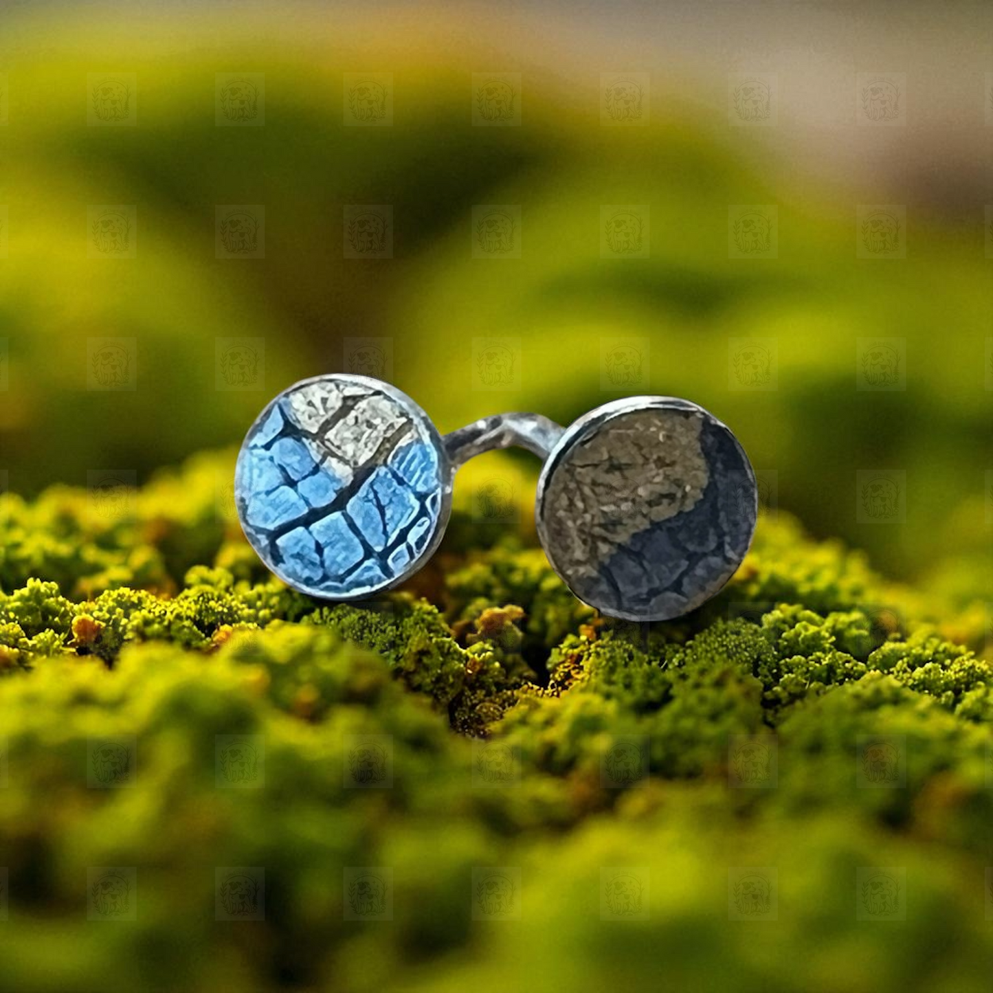 Pair of round earrings with blue and brown design on a green moss background