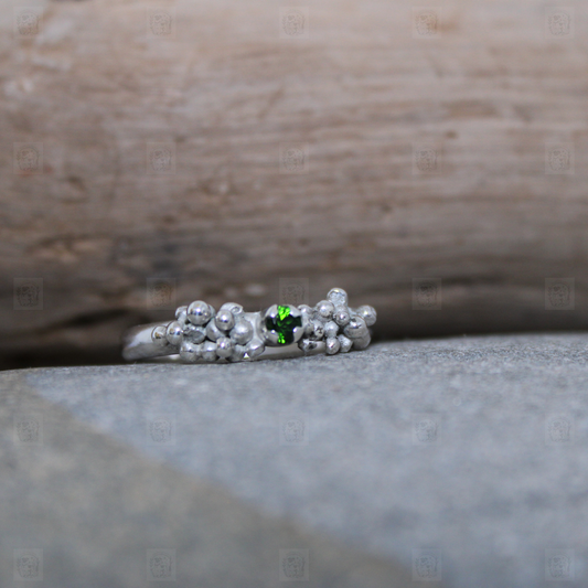 sea treasure ring